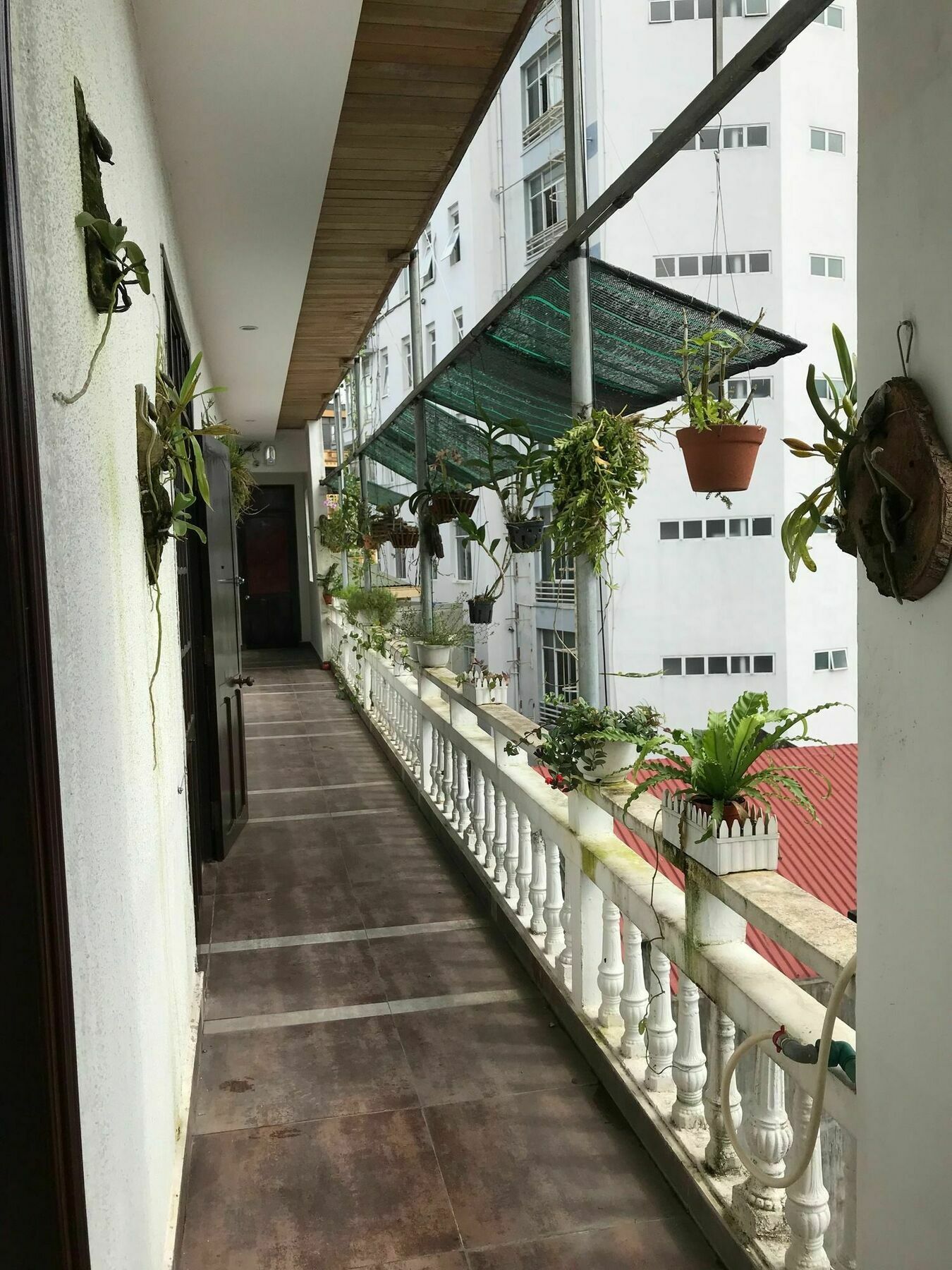 Sunny A Hotel Хюе Екстер'єр фото